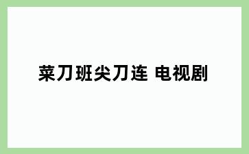菜刀班尖刀连 电视剧